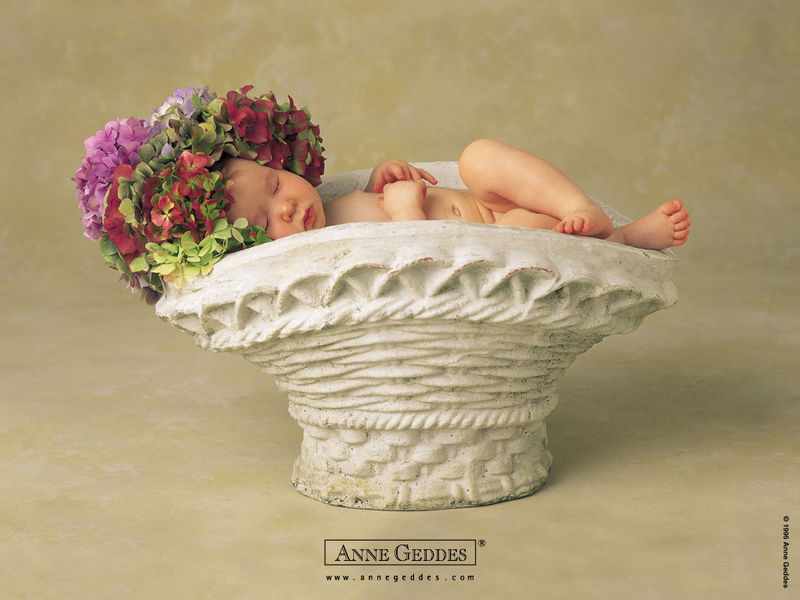 ANNE GEDDES 宝宝