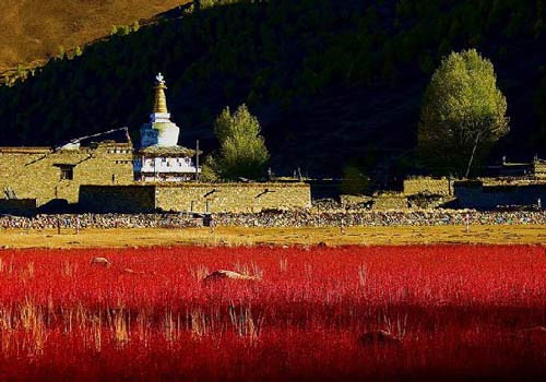 秋意浓 踏寻别样色彩的旅行地