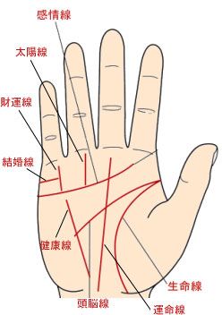 小康？小富？太阳线看你一生财运-星座