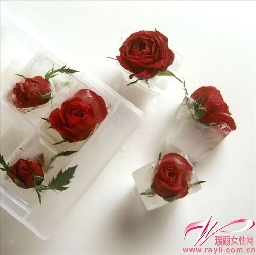 玫瑰花冰块